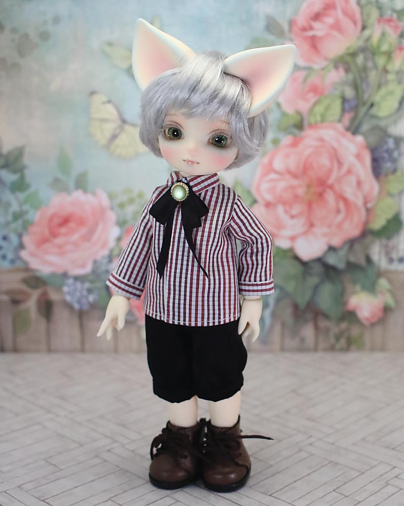 ストライプの服(赤)